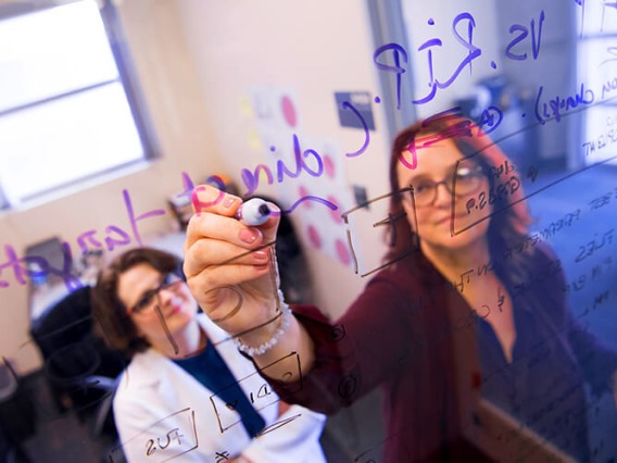 ae888 faculty writing on a clear glass with purple marker