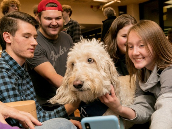 Students interacting with a friendly white poodle dog